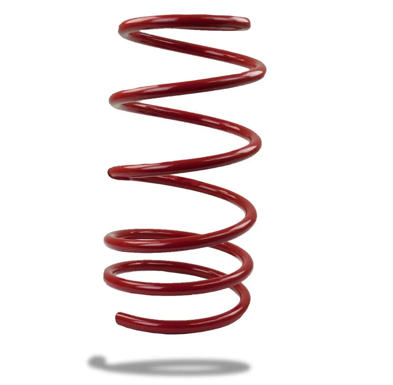 Pedders Front Spring Low V6 2004-2006 GTO - Main Product View