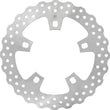 Load image into Gallery viewer, Performance Machine Disc 11.81 (300Mm) x .20 Stainless Steel - Main Product View