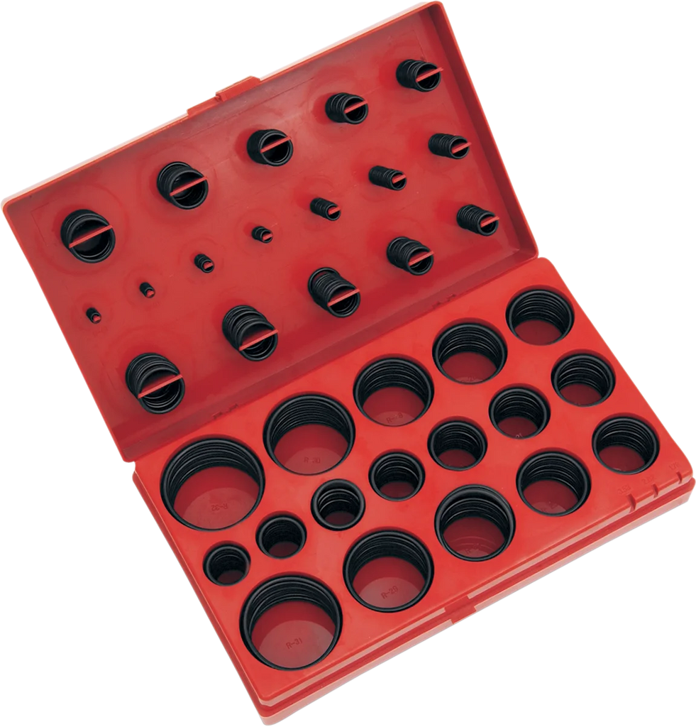 Performance Tool O-Ring Assortment - 407- Piece W5202