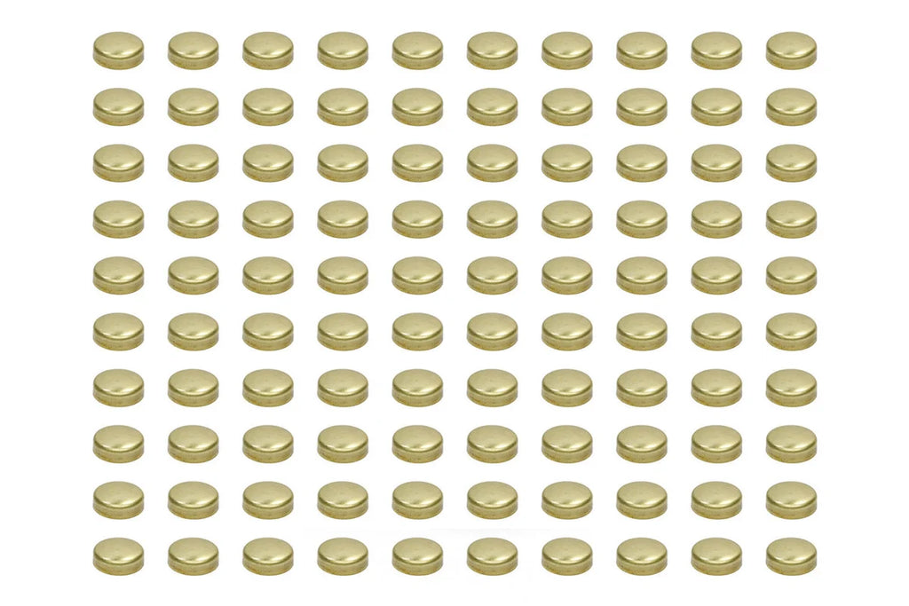 Pioneer Expansion Plugs - 1-5/8 Brass (100pk) EPC-41-B-100