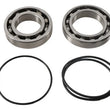 Load image into Gallery viewer, Pivot Works 03-13 Kawasaki KVF360A Prairie 4x4 Rear Wheel Bearing Kit