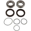 Load image into Gallery viewer, Pivot Works 04-07 Can-Am DS650 Rear Wheel Bearing Kit