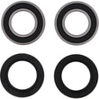 Load image into Gallery viewer, Pivot Works 09-10 KTM SX 450 ATV - Rear Wheel Bearing Kit - Back View