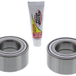 Load image into Gallery viewer, Pivot Works 17-23 Honda Pioneer 500 Rear Wheel Bearing Kit