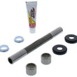 Load image into Gallery viewer, Pivot Works 1998 Honda XLR125 (Euro) Swing Arm Kit