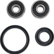 Load image into Gallery viewer, Pivot Works 71-73 Honda SL70 Front Wheel Bearing Kit - Side View