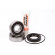 Load image into Gallery viewer, Pivot Works 72-76 Honda XL250 Rear Wheel Bearing Kit