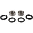 Load image into Gallery viewer, Pivot Works 99-05 Arctic Cat 250 2x4 Front Wheel Bearing Kit