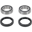 Load image into Gallery viewer, Pivot Works  Eton IXL-40 Rascal Rear Wheel Bearing Kit - Main Product View