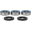 Load image into Gallery viewer, Pivot Works Premium Wheel Bearing - Additional View 5