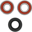 Load image into Gallery viewer, Pivot Works Premium Wheel Bearing - Installation View