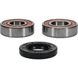 Load image into Gallery viewer, Pivot Works Premium Wheel Bearing - Additional View 5