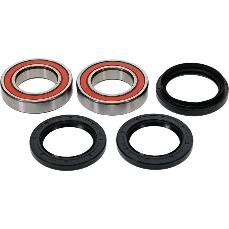 Pivot Works Premium Wheel Bearing - Back View