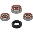 Load image into Gallery viewer, Pivot Works Premium Wheel Bearing - Main Product View
