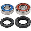 Load image into Gallery viewer, Pivot Works Premium Wheel Bearing - Installation View