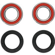 Load image into Gallery viewer, Pivot Works Premium Wheel Bearing - Main Product View