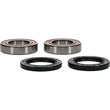 Load image into Gallery viewer, Pivot Works Premium Wheel Bearing - Main Product View