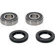 Load image into Gallery viewer, Pivot Works Premium Wheel Bearing - Back View
