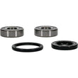 Load image into Gallery viewer, Pivot Works Premium Wheel Bearing - Main Product View