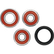 Load image into Gallery viewer, Pivot Works Premium Wheel Bearing - Additional View 5