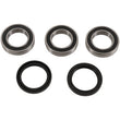Load image into Gallery viewer, Pivot Works Rear Wheel Bearing Kit Yz450F 09-10