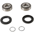 Load image into Gallery viewer, Pivot Works Yam ATV S/A Bearing Kt