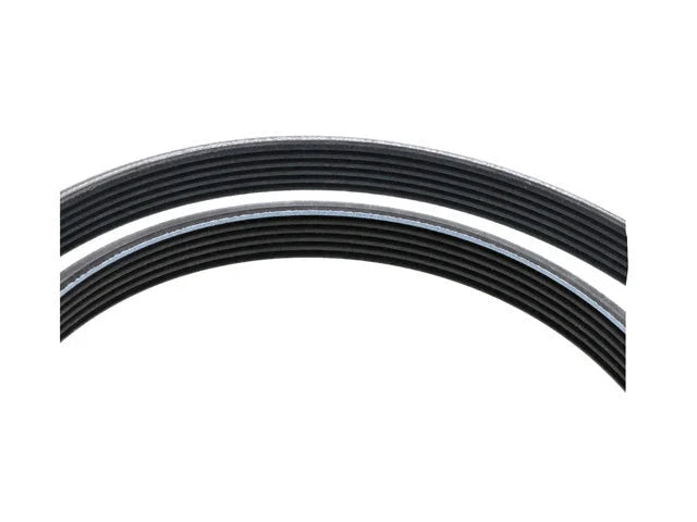 Porsche Belt 6DK X 2880 7PP-903-137-A - Side View