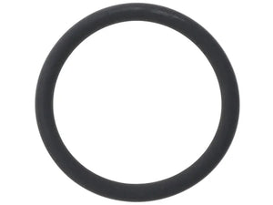 Porsche Coolant Pipe O-Ring PAF-008-265