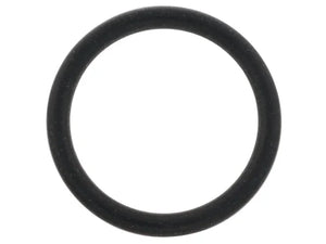 Porsche Coolant Pipe Seal WHT-005-440