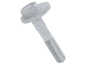 Porsche Eccentric Bolt WHT-002-053