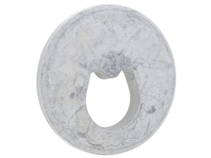 Porsche Eccentric Washer WHT-001-796-A