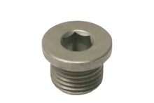 Load image into Gallery viewer, Porsche Engine Oil Drain Plug 900-219-004-01