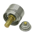 Load image into Gallery viewer, Porsche Oil Thermostat Insert 92810717202