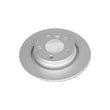 Load image into Gallery viewer, PowerStop Rear Evolution High Carbon Geomet Coated Rotor fits 2000 BMW 323CI / 2000 BMW 323I / 2001-2006 BMW 325CI / 2001-...