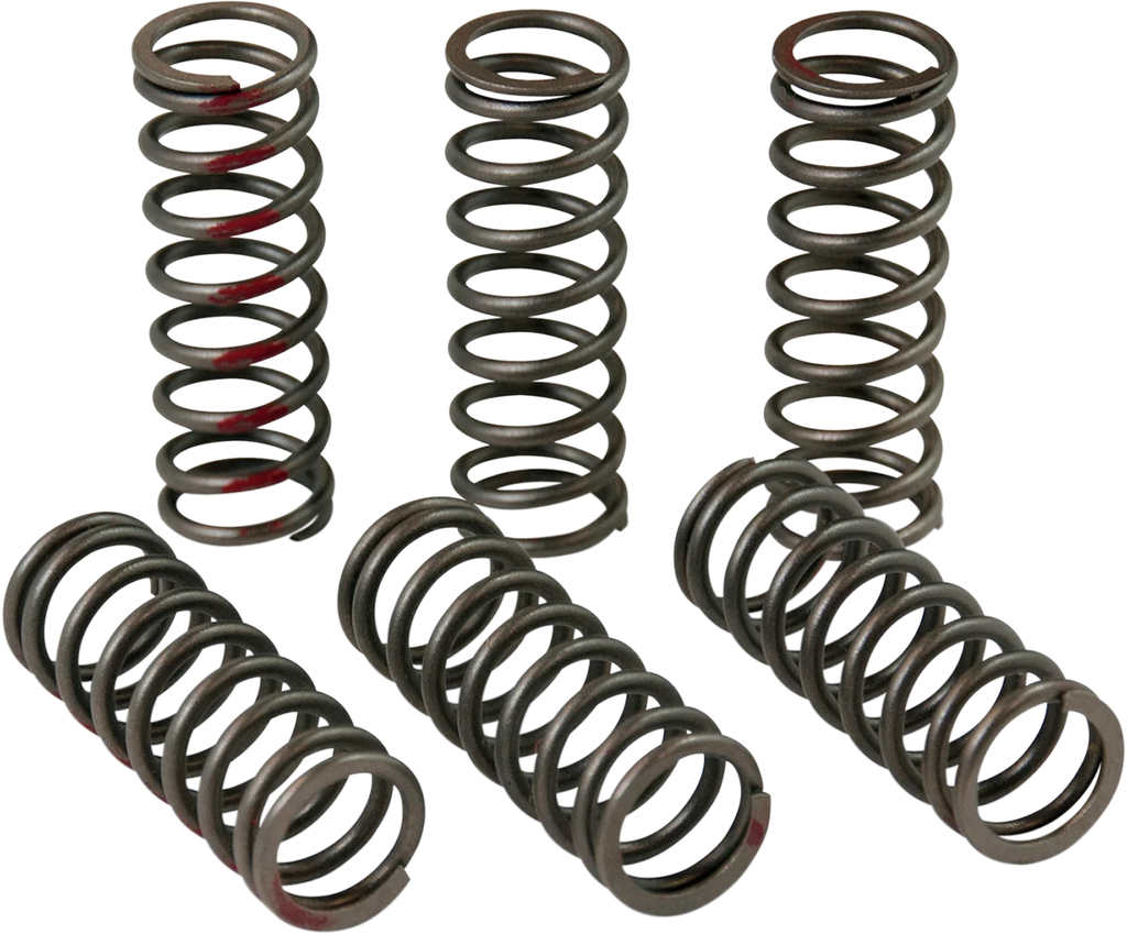 Pro Circuit Clutch Springs - CRF 450R CSH13450-CS - Main Product View