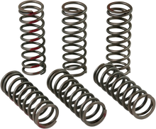 Load image into Gallery viewer, Pro Circuit Clutch Springs - CRF 450R CSH13450-CS - Main Product View