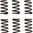 Load image into Gallery viewer, Pro Circuit Clutch Springs - CRF 450R CSH21450-CS - Main Product View