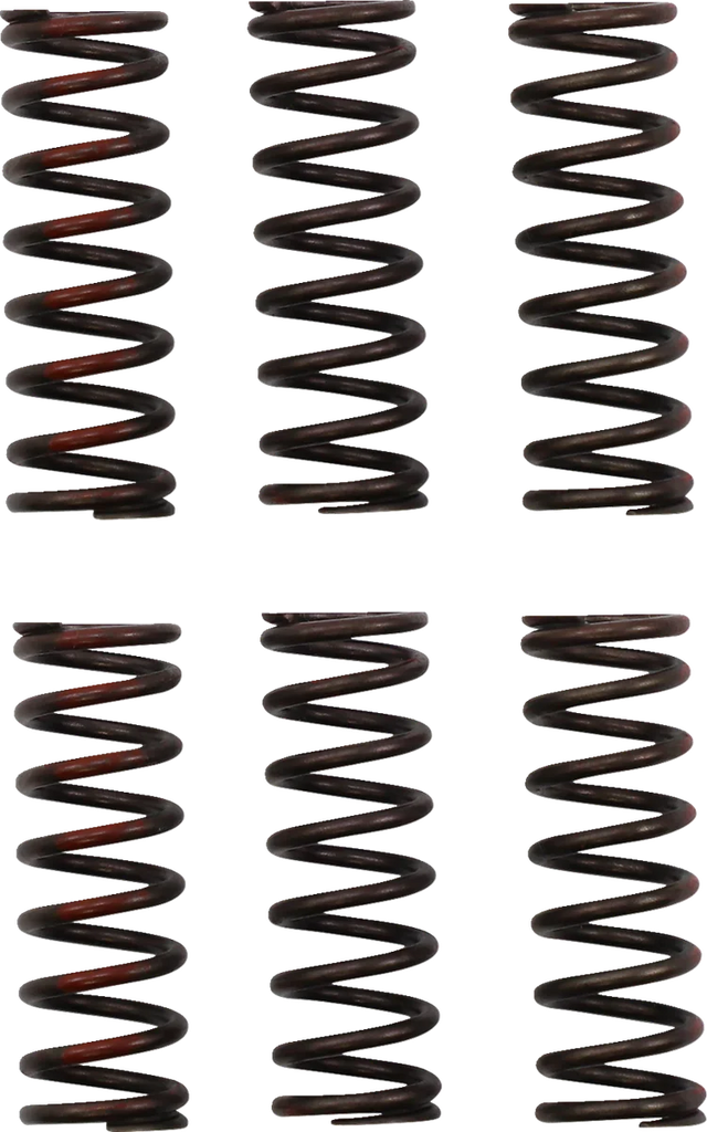 Pro Circuit Clutch Springs - CRF 450R CSH21450-CS - Main Product View