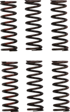 Load image into Gallery viewer, Pro Circuit Clutch Springs - CRF 450R CSH21450-CS - Main Product View