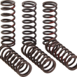 Load image into Gallery viewer, Pro Circuit Clutch Springs - CRF 450R CSH21450-CS - Side View