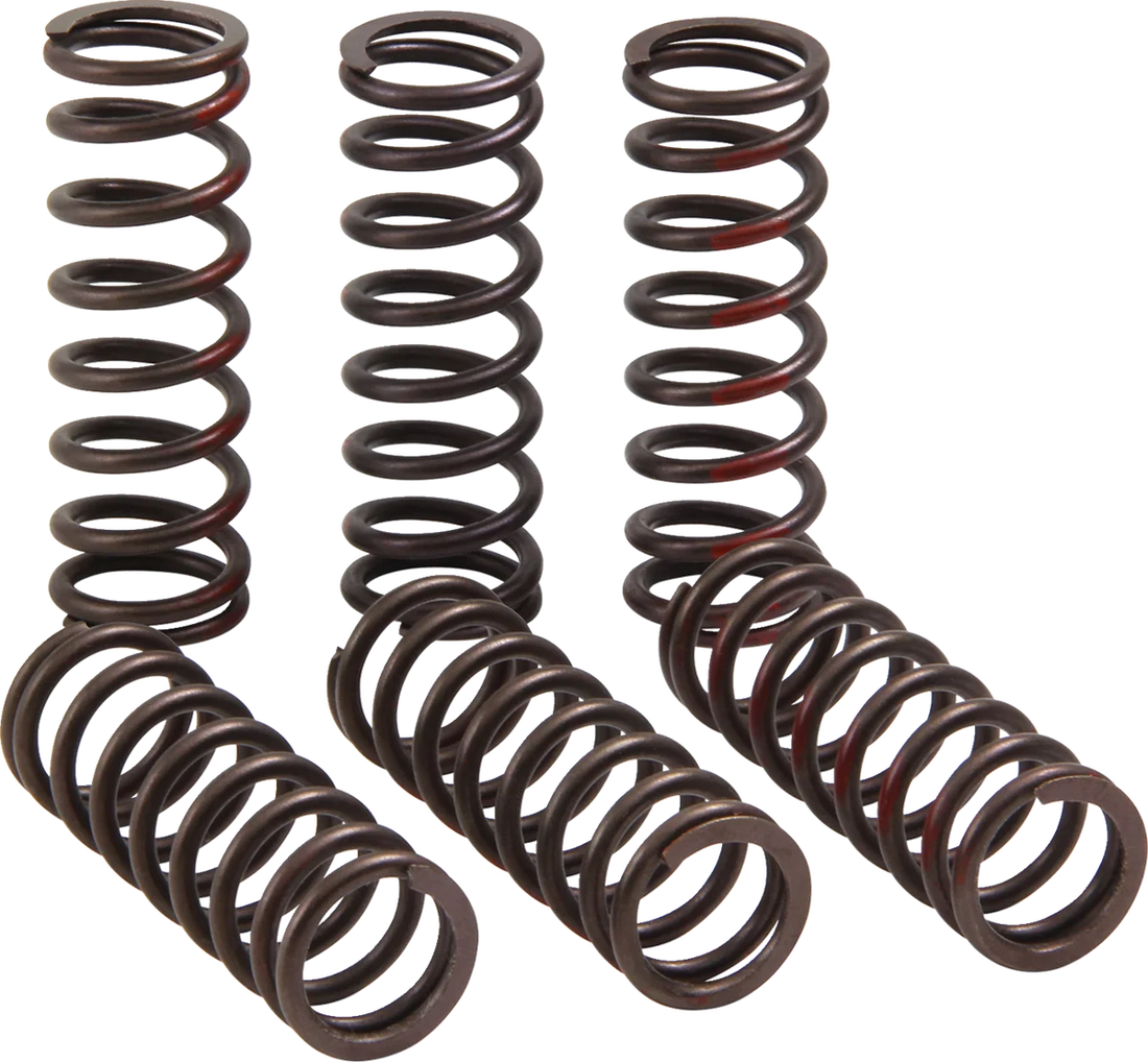 Pro Circuit Clutch Springs - CRF 450R CSH21450-CS - Side View