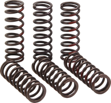 Load image into Gallery viewer, Pro Circuit Clutch Springs - CRF 450R CSH21450-CS - Side View