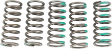 Load image into Gallery viewer, Pro Circuit Clutch Springs - KX 450F CSK19450-CS - Main Product View