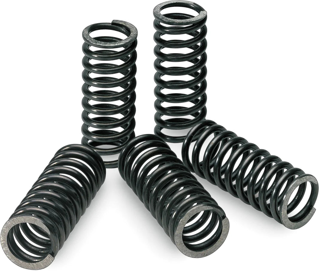 Pro Circuit Clutch Springs - KX 450F CSK19450-CS - Side View