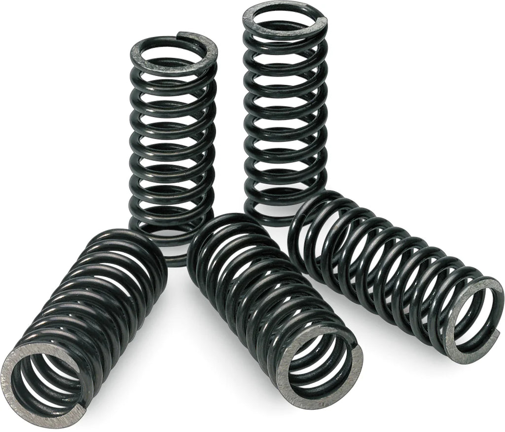 Pro Circuit Clutch Springs - KX 450F CSK19450-CS - Side View