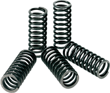 Load image into Gallery viewer, Pro Circuit Clutch Springs - Kawasaki CSK09085 - Main Product View