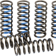 Load image into Gallery viewer, Pro Circuit Clutch Springs - YZ 250F CSY19250-CS - Main Product View