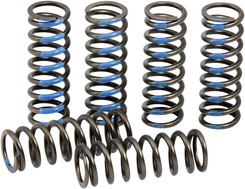 Pro Circuit Clutch Springs - YZ 250F CSY19250-CS - Main Product View
