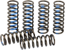 Load image into Gallery viewer, Pro Circuit Clutch Springs - YZ 250F CSY19250-CS - Main Product View