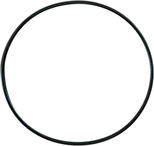 Load image into Gallery viewer, Pro Circuit Replacement O-Ring PC4008-0401 - Main Product View